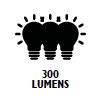 300 lumens