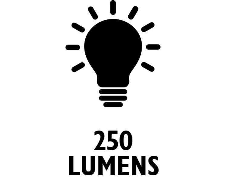 250 LUMENS